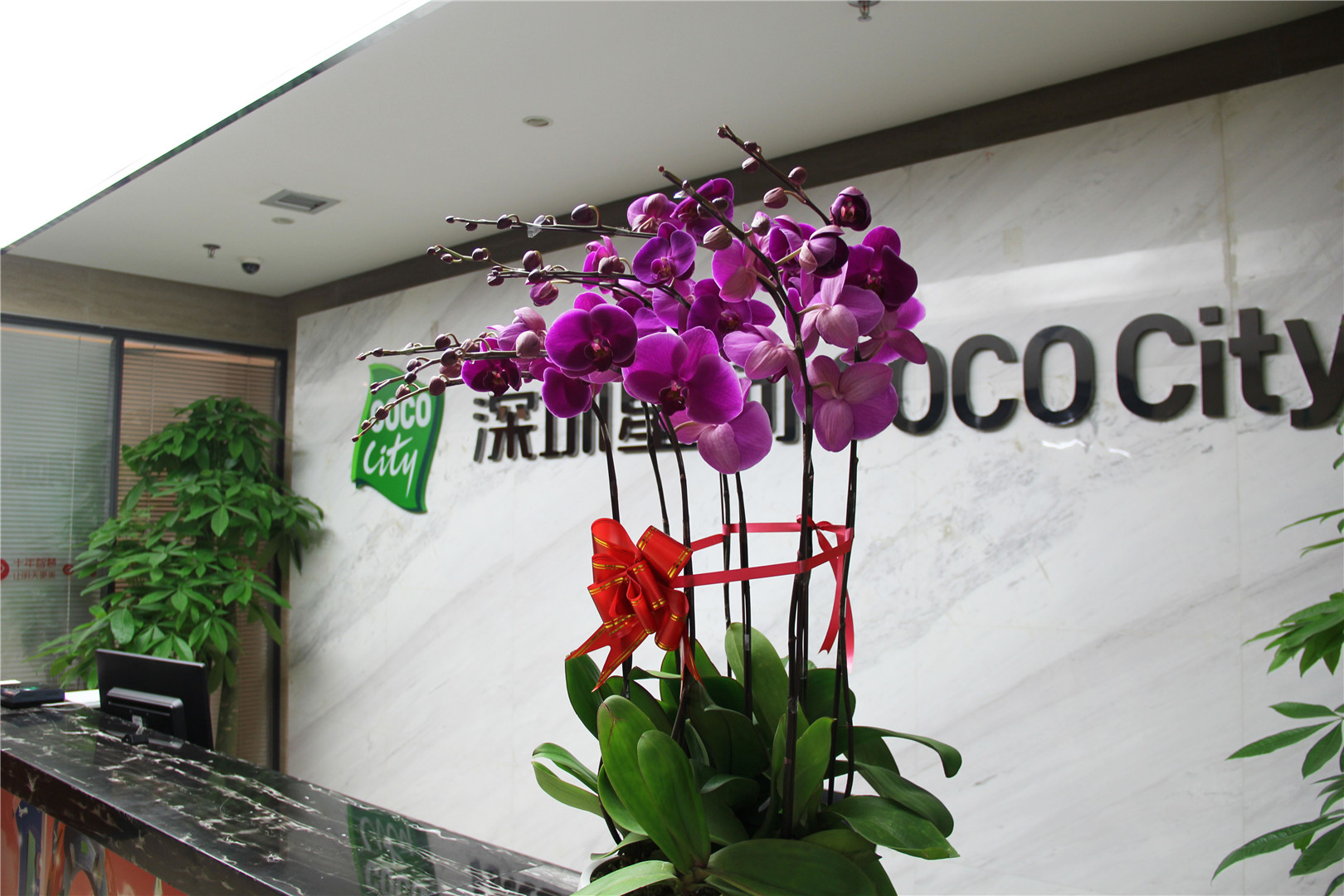 COCOcity購物中心
