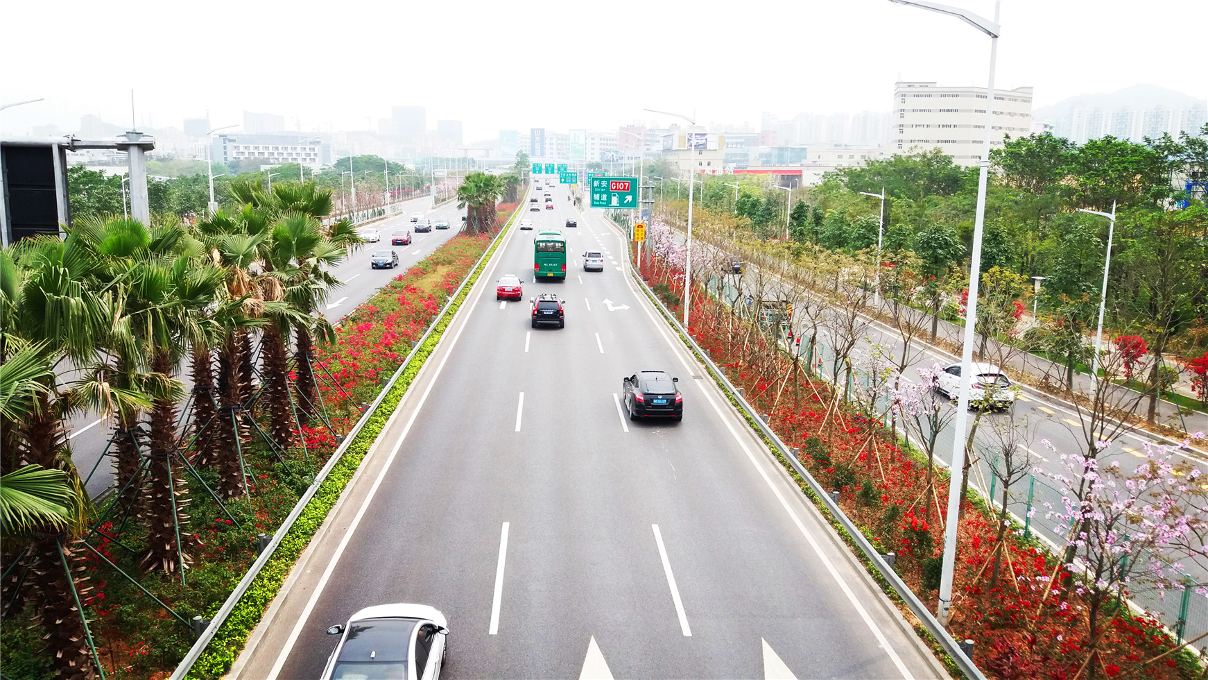 深圳機場南路綠化景觀提升項目